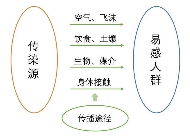 封丘县博源国际学校:创新教育引领未来